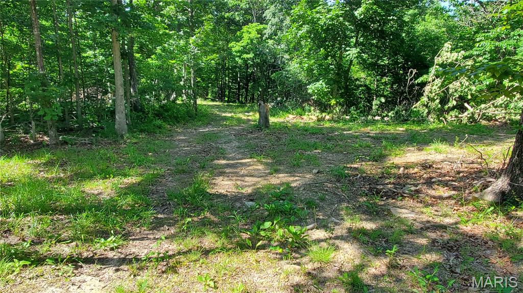11721 Highway K Property Photo 88