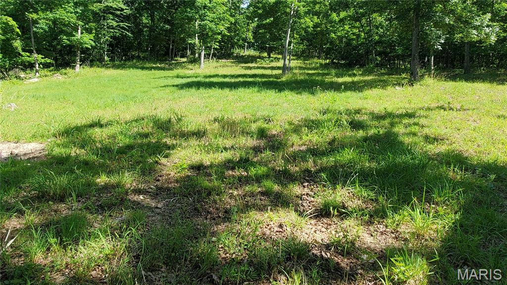 11721 Highway K Property Photo 89