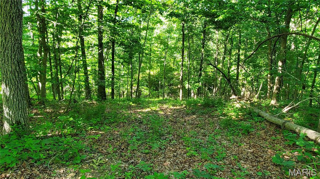 11721 Highway K Property Photo 90