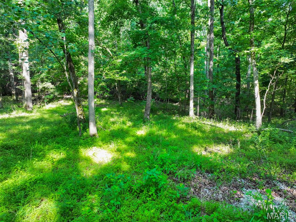 5134 Northview Drive Property Photo 8