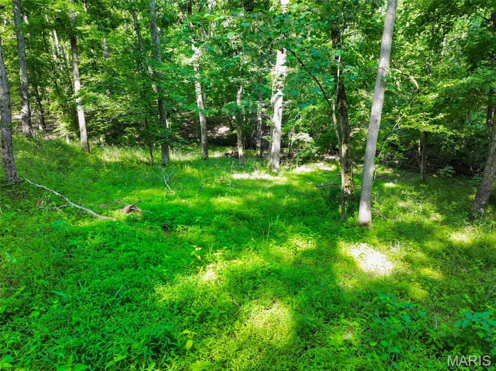 5134 Northview Drive Property Photo 9