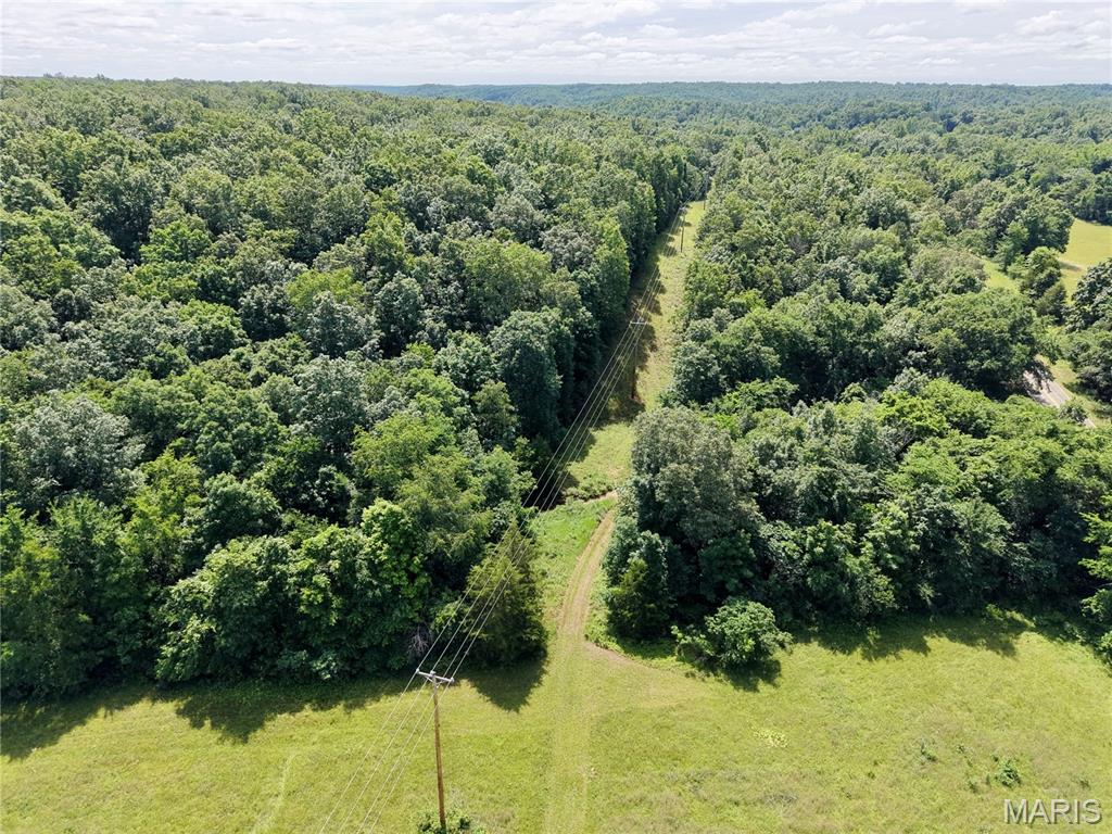 6483 Wayne Route P Property Photo 4