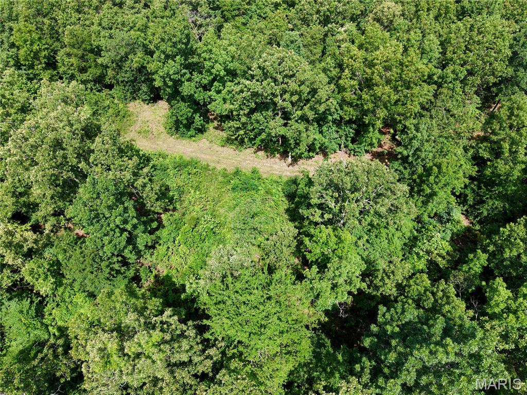 6483 Wayne Route P Property Photo 9