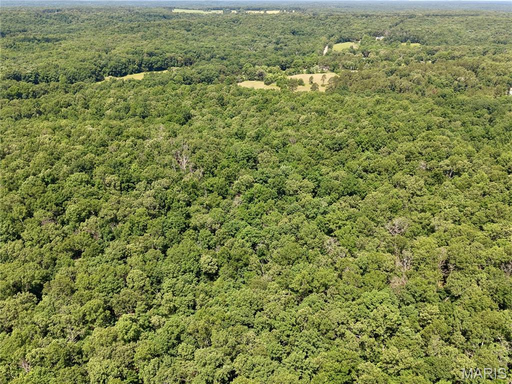 6483 Wayne Route P Property Photo 11