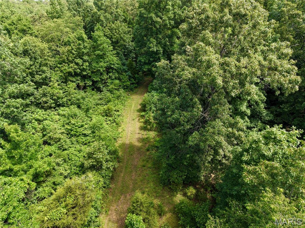 6483 Wayne Route P Property Photo 14