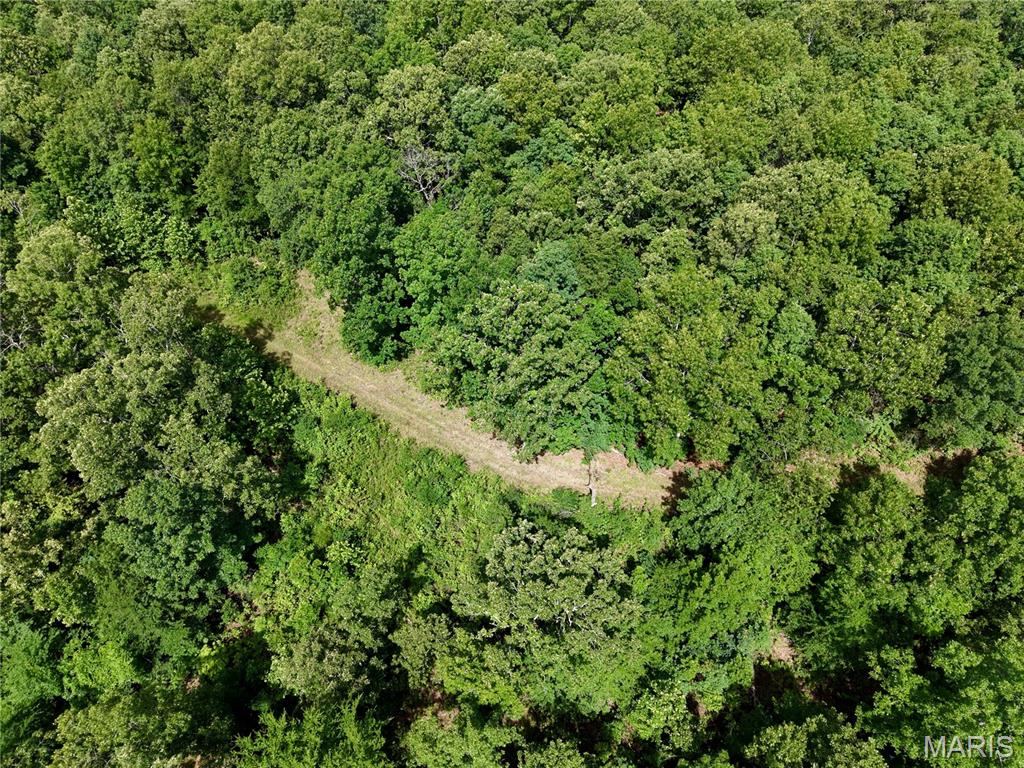 6483 Wayne Route P Property Photo 15