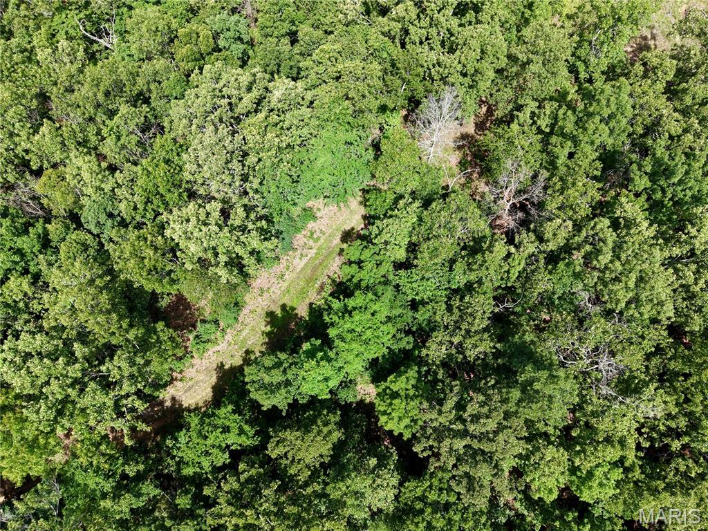 6483 Wayne Route P Property Photo 19