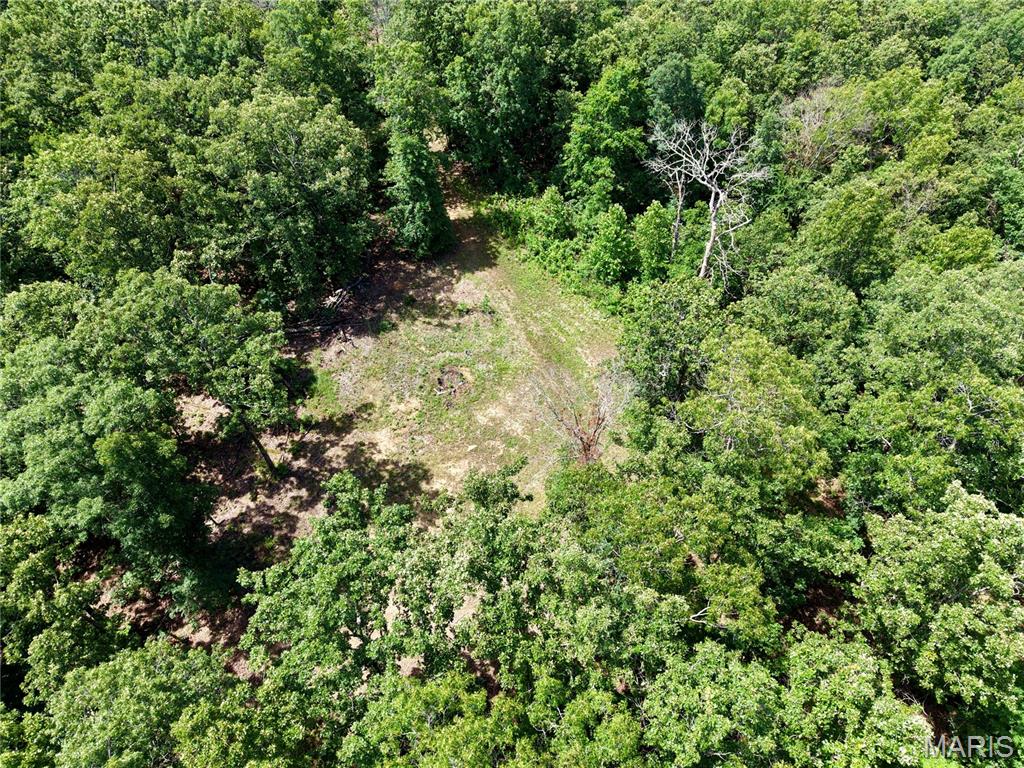 6483 Wayne Route P Property Photo 22