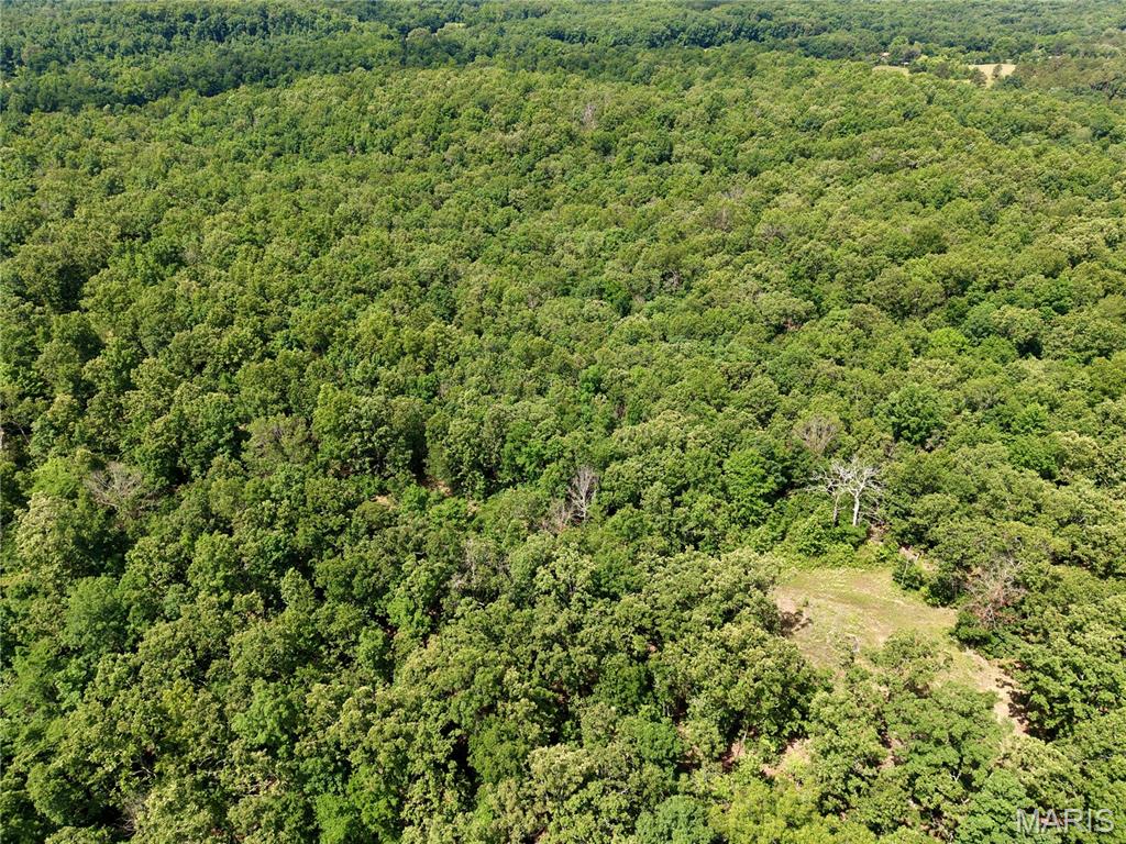6483 Wayne Route P Property Photo 24