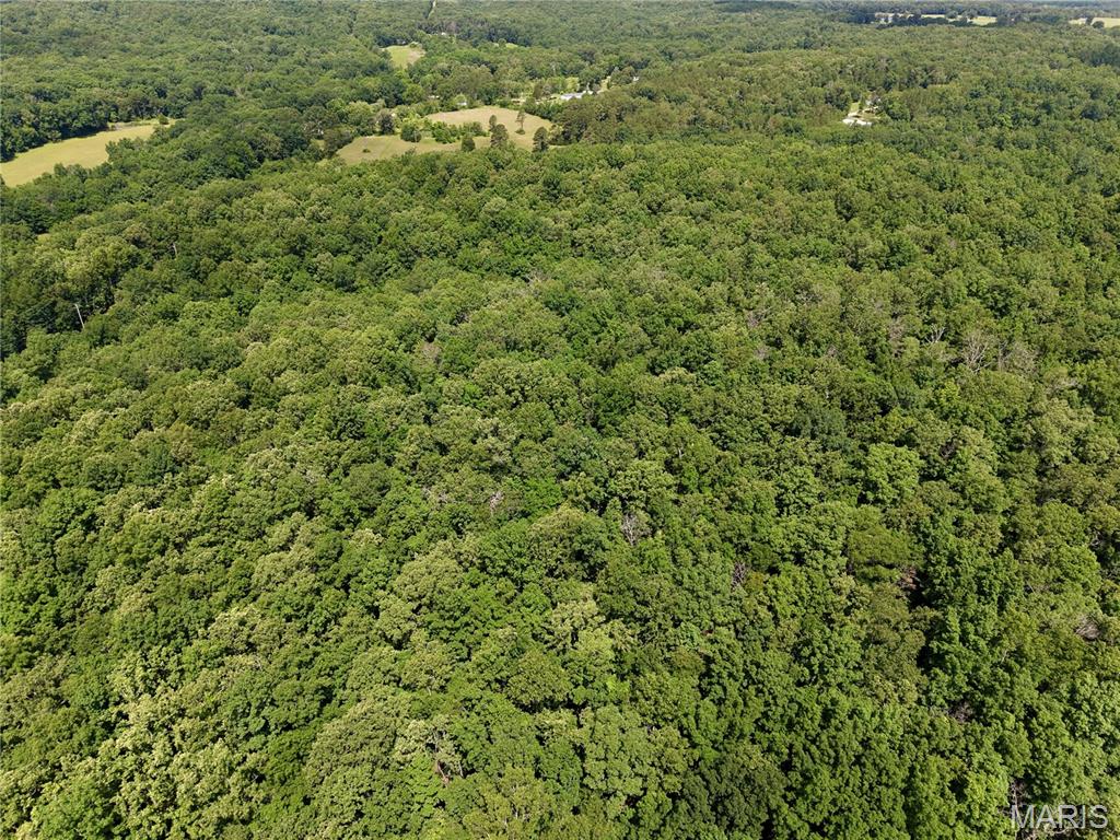 6483 Wayne Route P Property Photo 25
