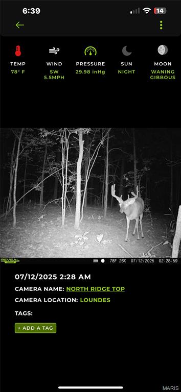 6483 Wayne Route P Property Photo 37