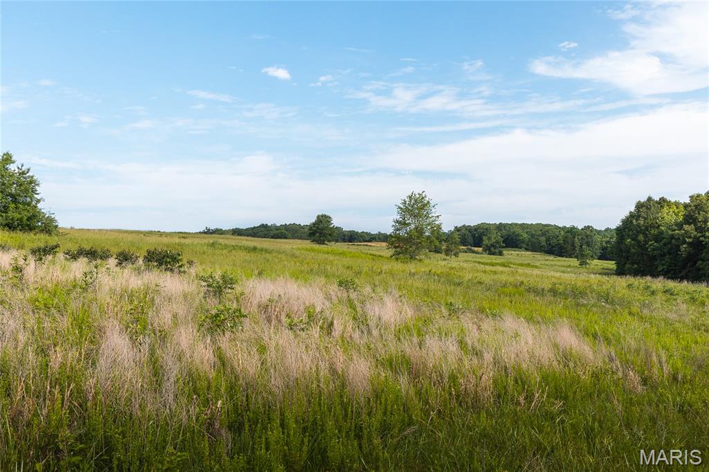 2160 Hwy 50 Property Photo 51