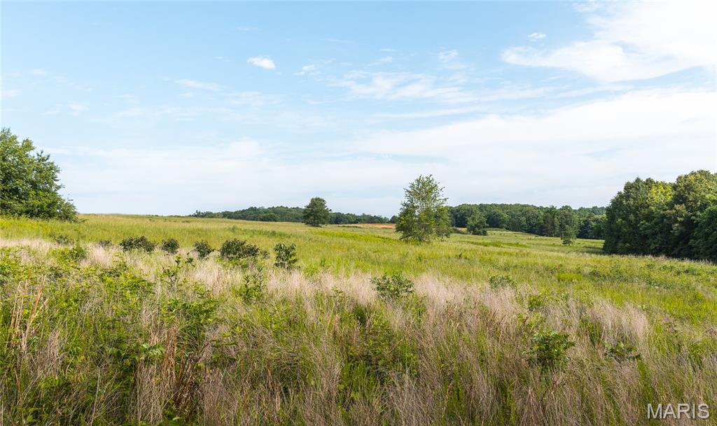 2160 Hwy 50 Property Photo 55