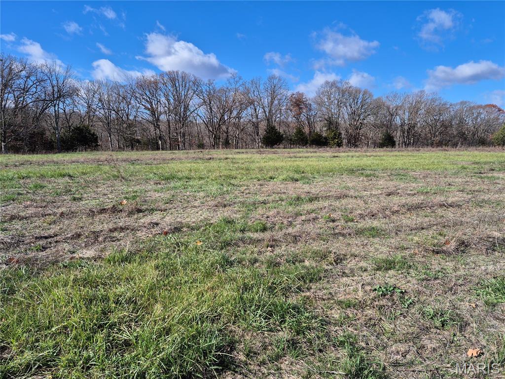 0 Logan School Rd. (15.2+/- Acres) Property Photo 1