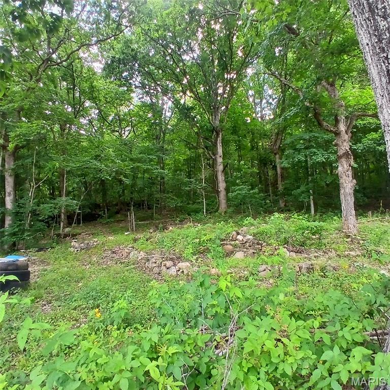 14773 Highway E Property Photo 2