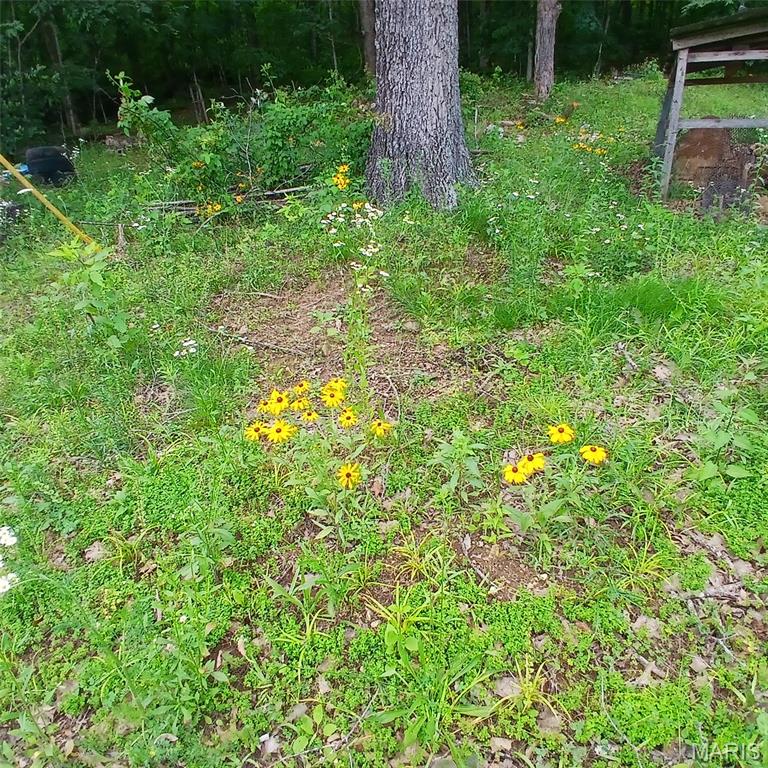 14773 Highway E Property Photo 3