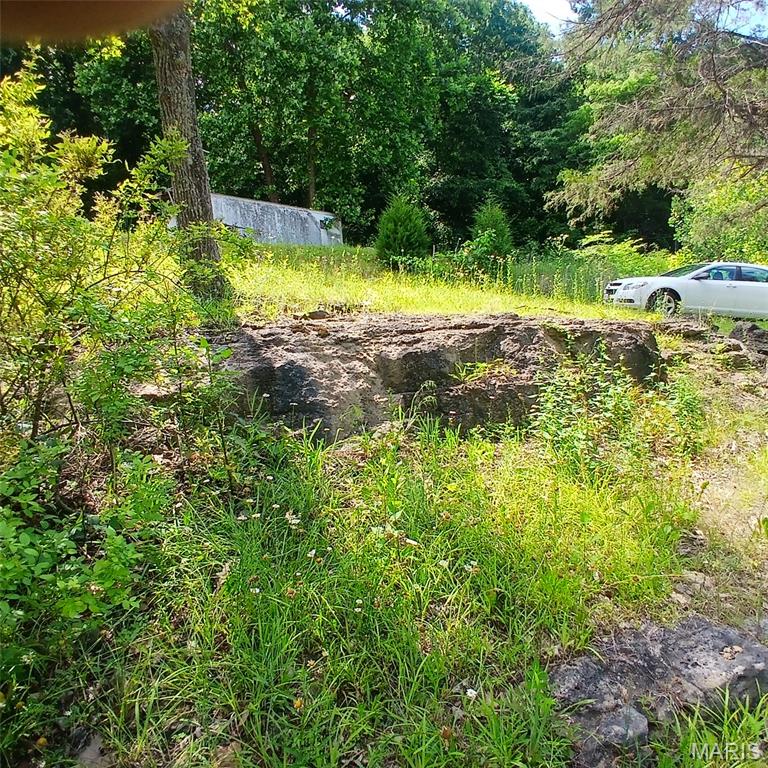 14773 Highway E Property Photo 6