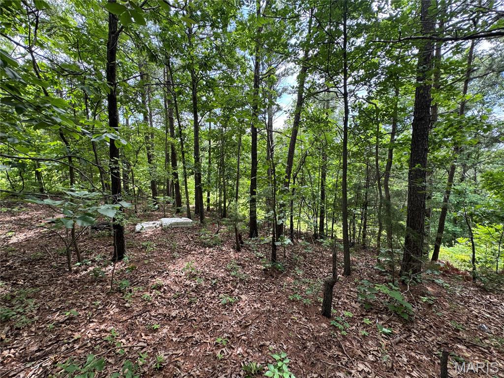 Tbd Harvey Drive Property Photo 2