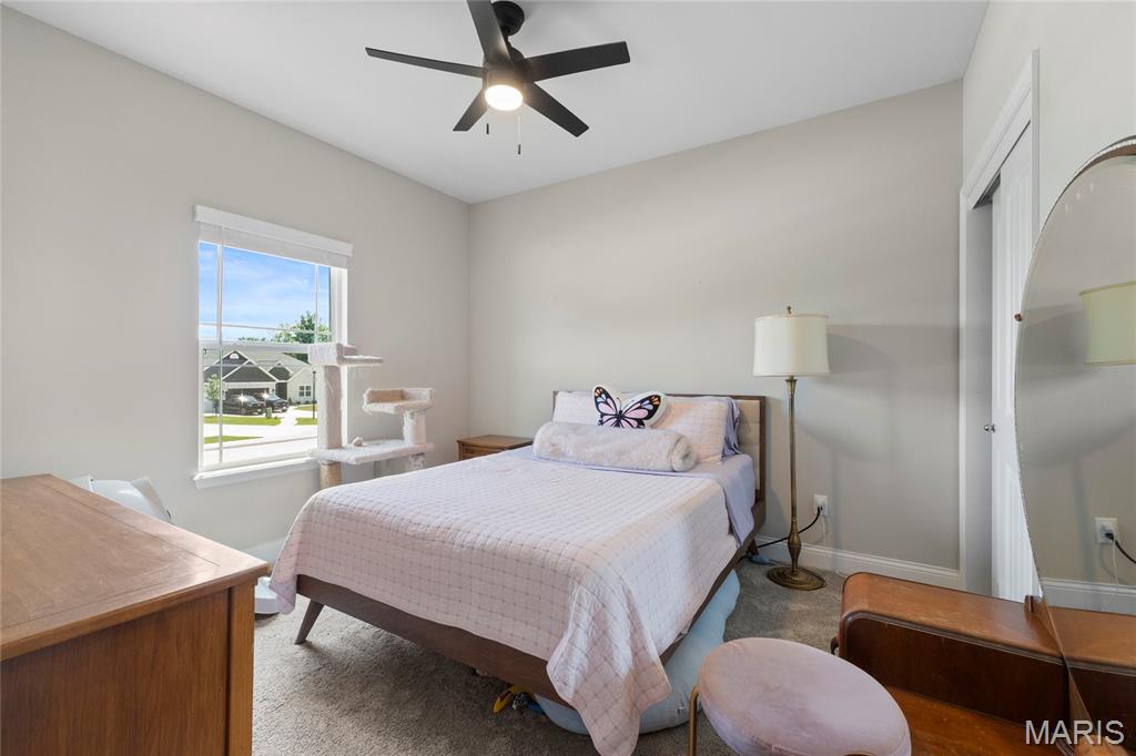 509 Spruce Hollow Court Property Photo 12