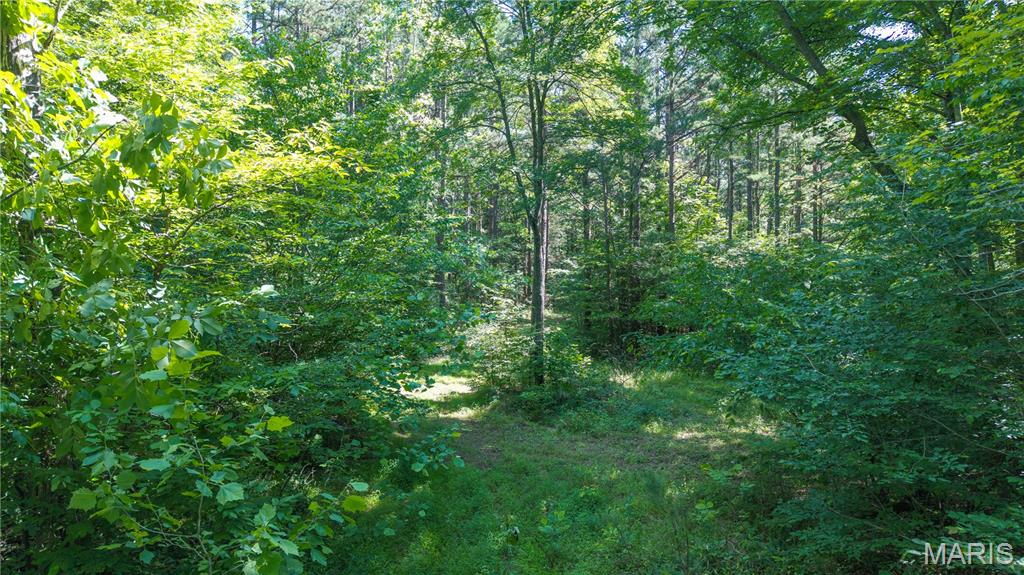 115 Madison Wayne 9305 Property Photo 27