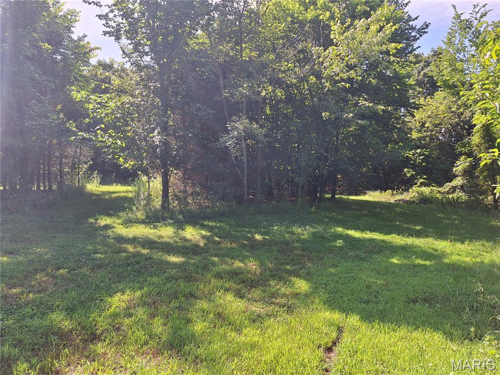 25725 Starlite Drive Property Photo 1