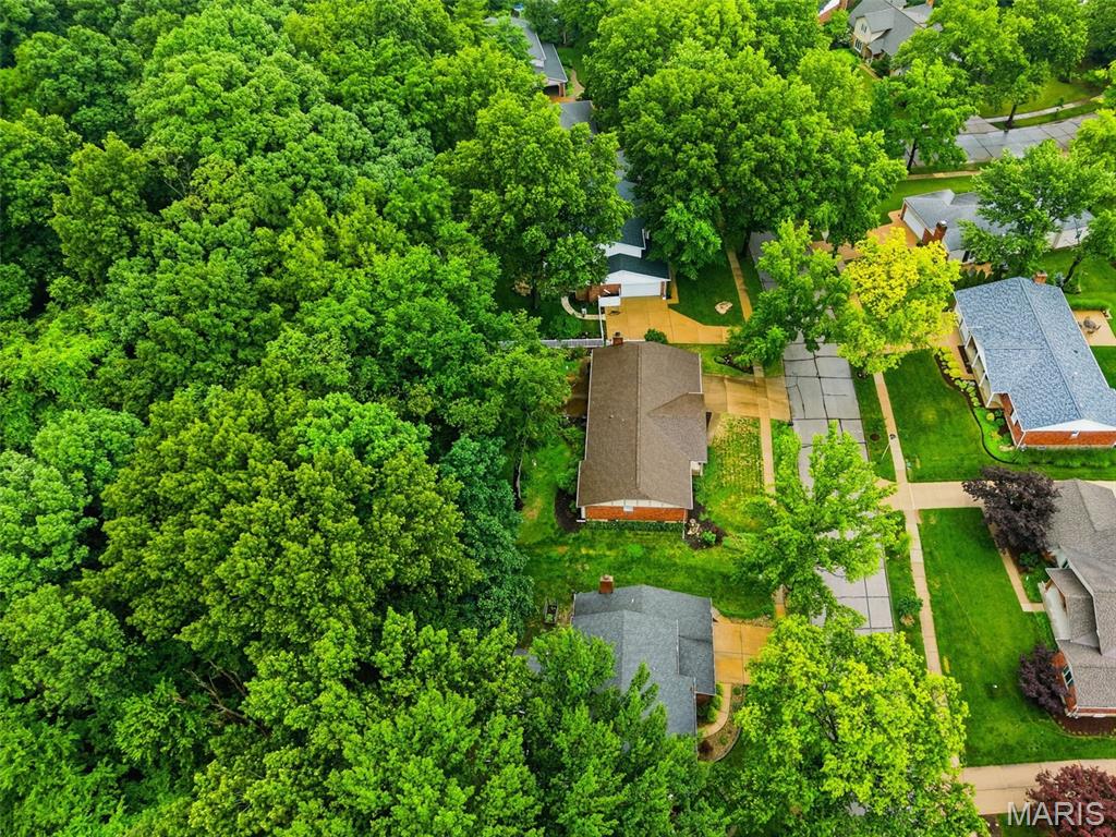 537 Huntercreek Ridge Court Property Photo 9