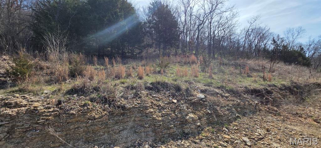 4838 Dulin Creek Road Property Photo 7