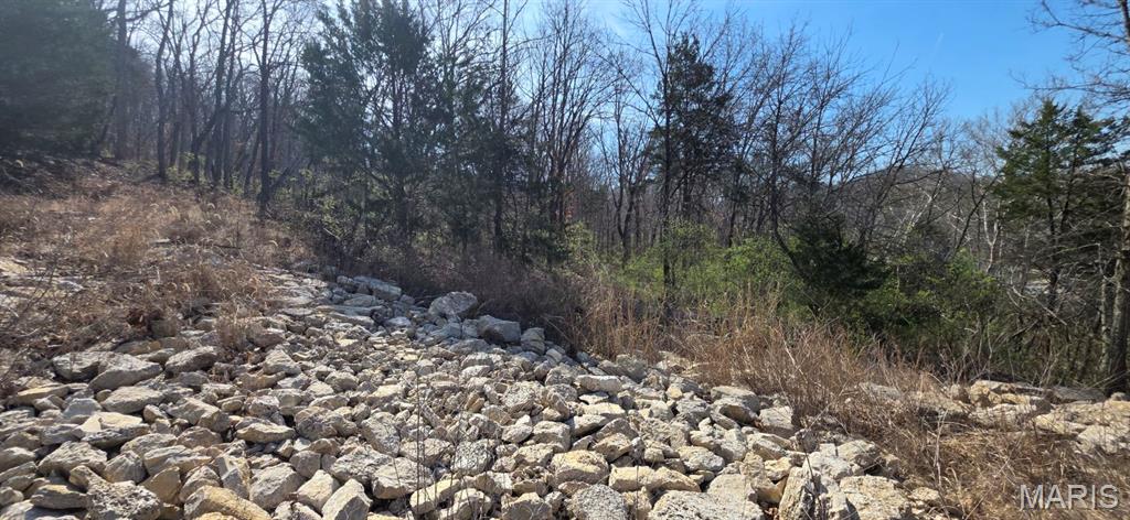 4838 Dulin Creek Road Property Photo 10