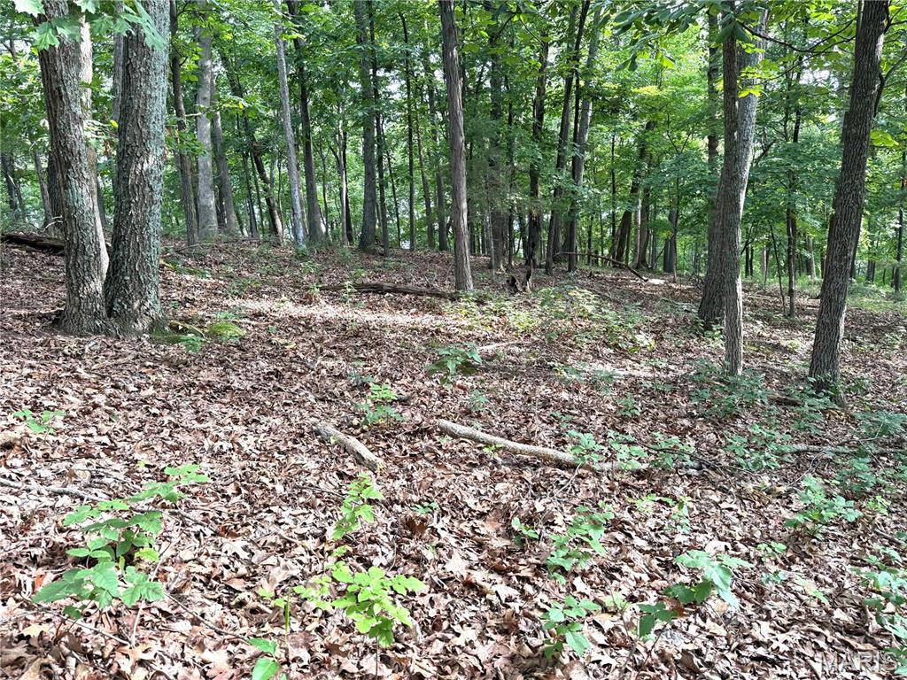 17134 Hidden Valley Forest