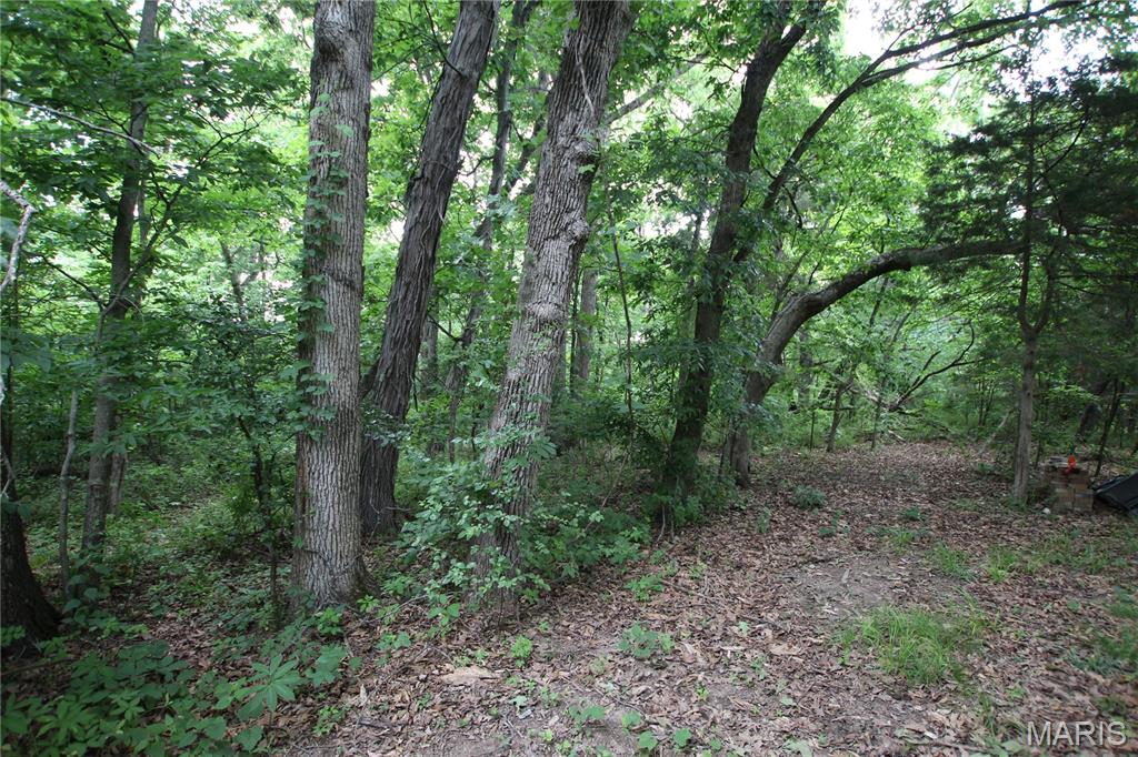8b Donegal Property Photo 2