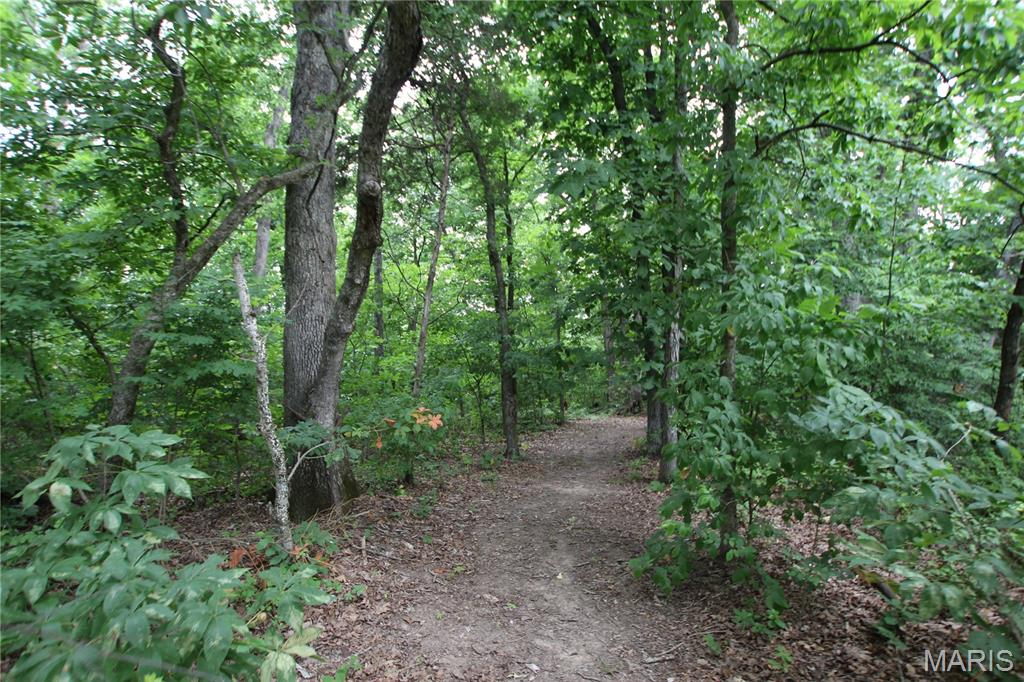 8b Donegal Property Photo 4