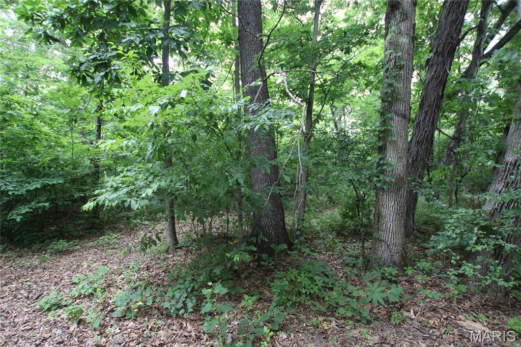 8b Donegal Property Photo 7