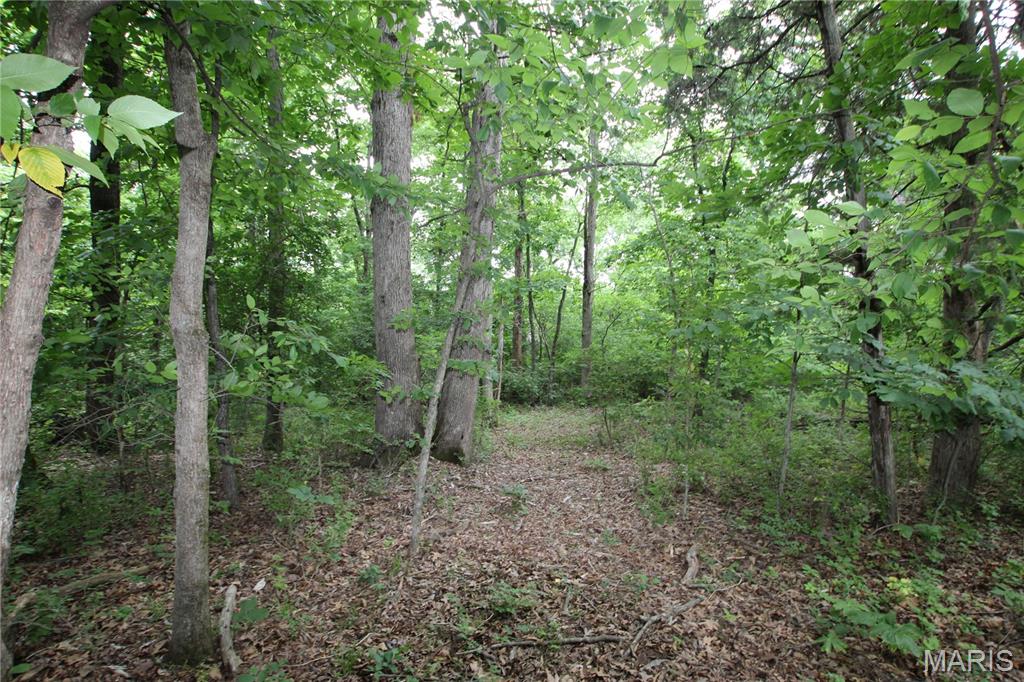 8b Donegal Property Photo 11