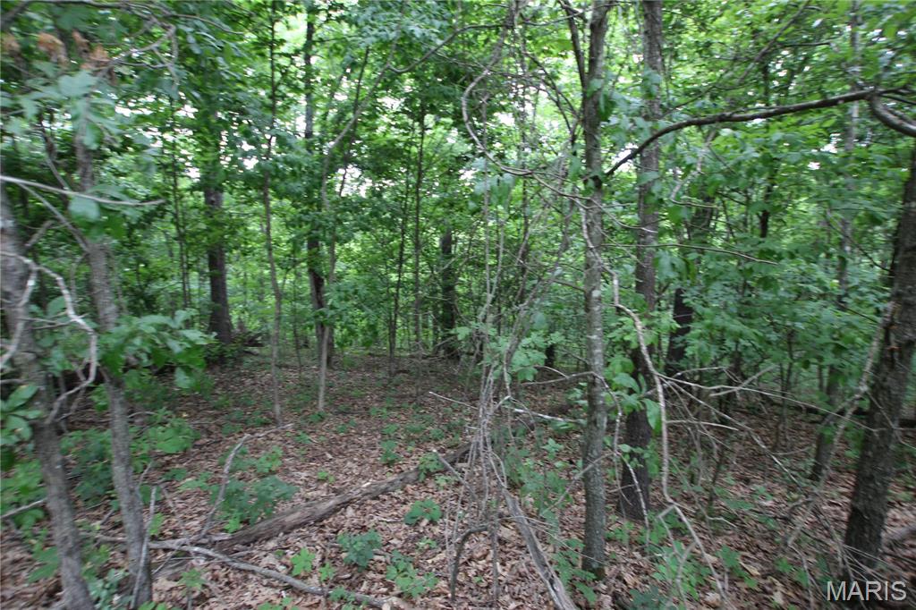 8b Donegal Property Photo 13