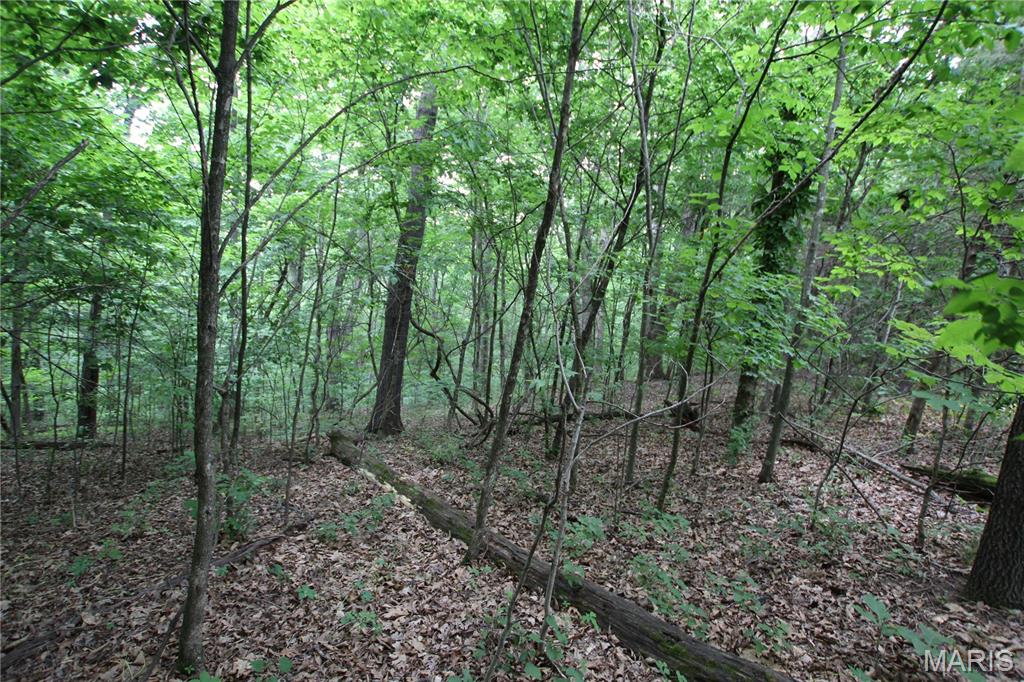 8b Donegal Property Photo 17