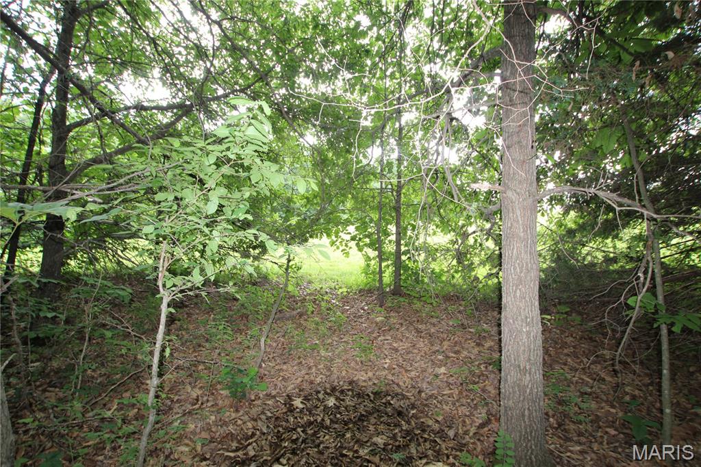 8b Donegal Property Photo 23