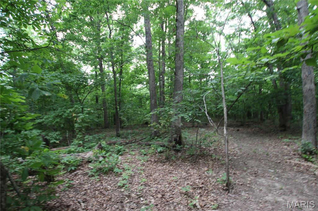 8b Donegal Property Photo 25