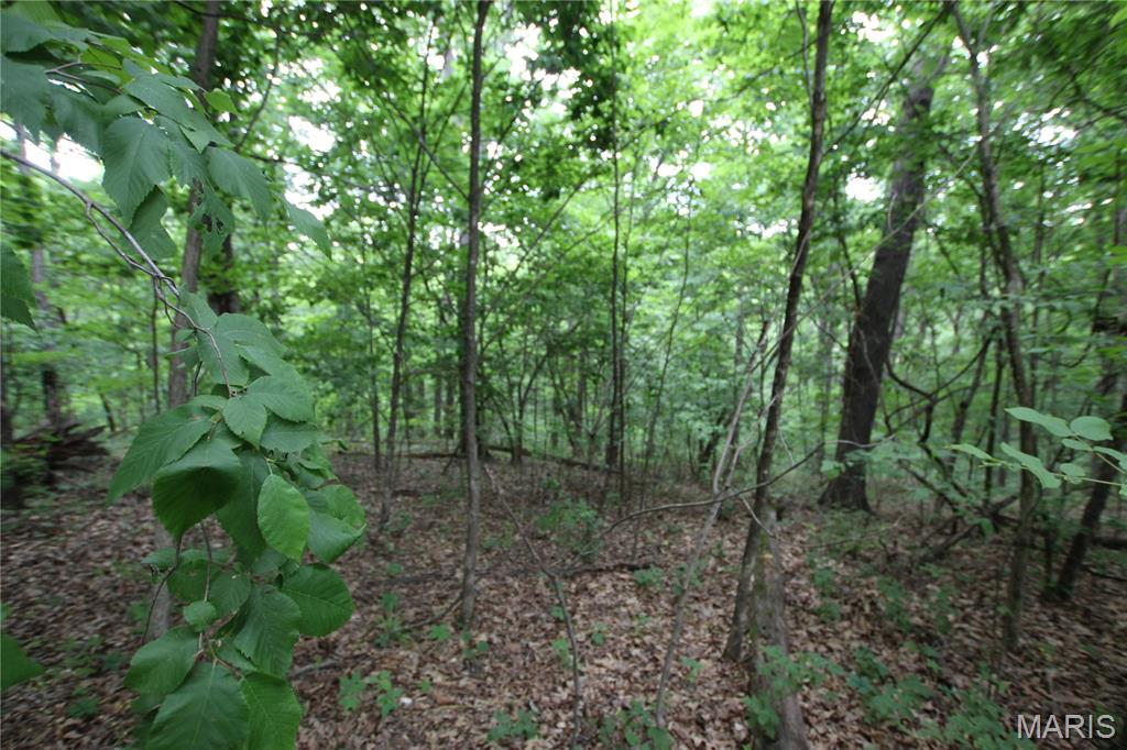 8b Donegal Property Photo 27