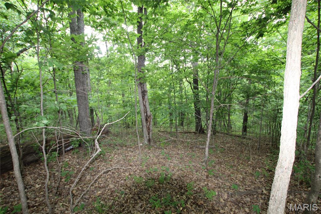 8b Donegal Property Photo 28