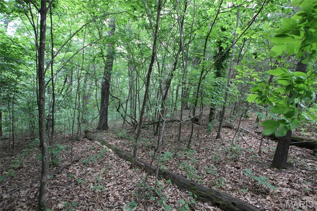8b Donegal Property Photo 29