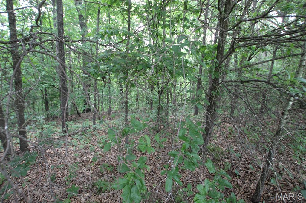 8a Donegal Court Property Photo 6