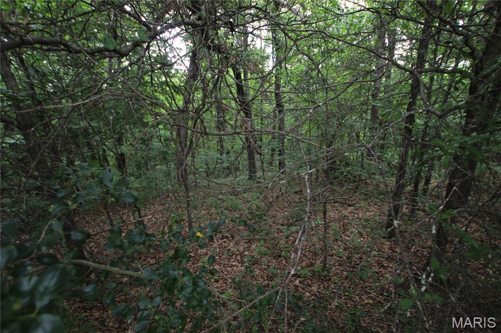 8a Donegal Court Property Photo 15
