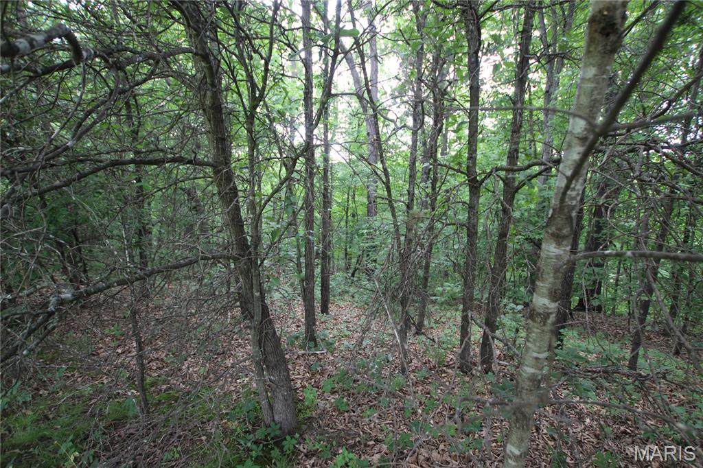 8a Donegal Court Property Photo 19