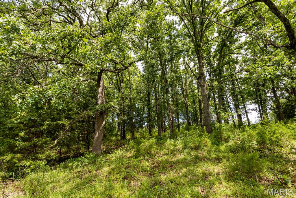 30 +/- Ac S 220th Road Property Photo 12