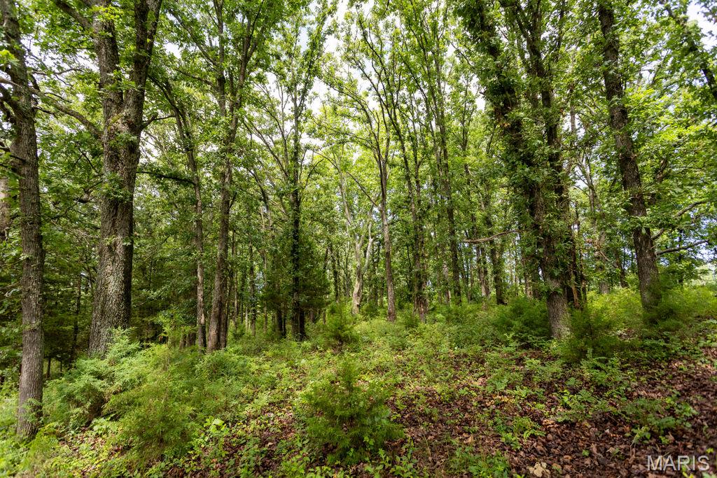 30 +/- Ac S 220th Road Property Photo 13