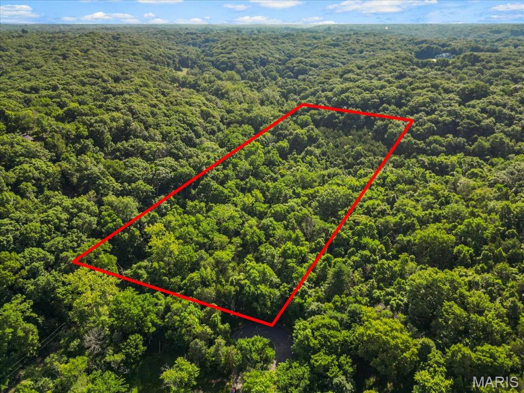 3701 Bear Tooth Lane Property Photo 1