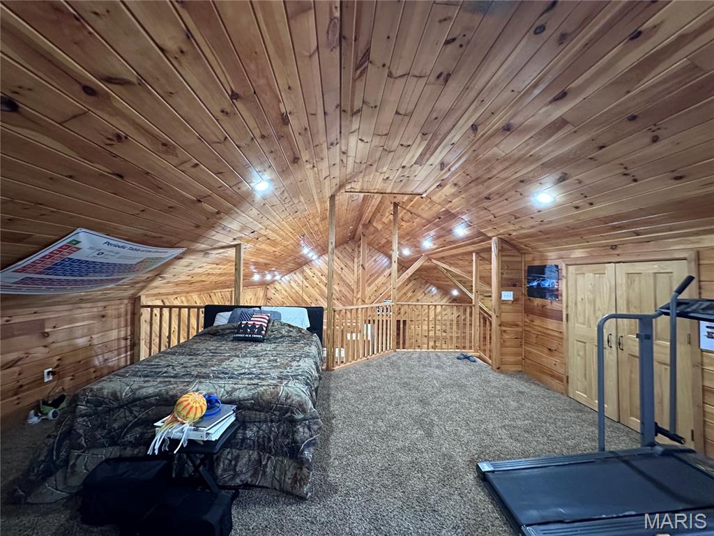 16393 Highway B Property Photo 21
