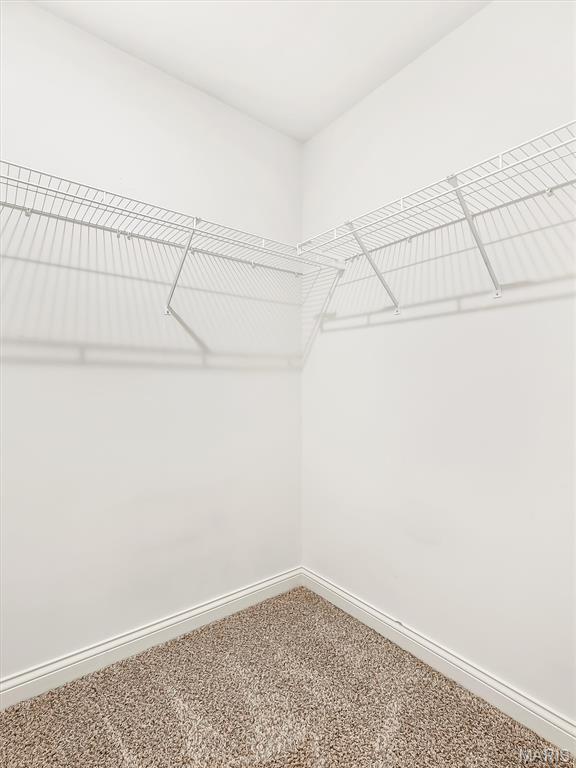 408 Split Rail Drive Property Photo 17