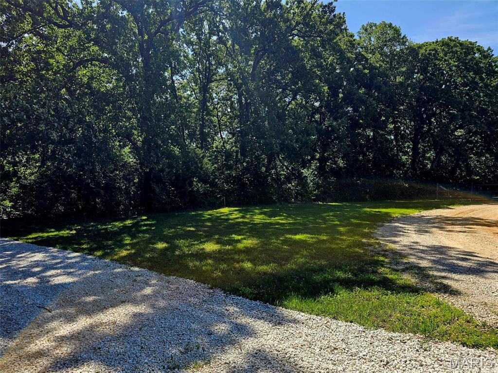 8+/- Ac Walker Road Property Photo 2