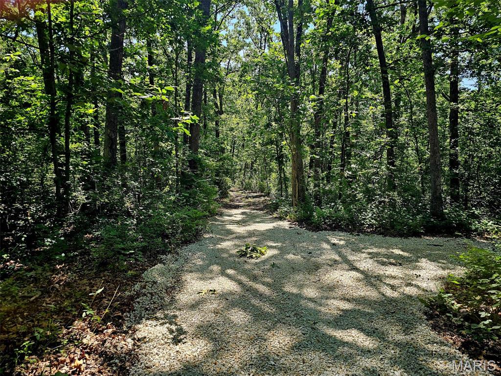 8+/- Ac Walker Road Property Photo 3